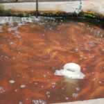 Water Aeration - Tilapia - Blowers for Africa