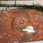 Water Aeration - Tilapia - Blowers for Africa